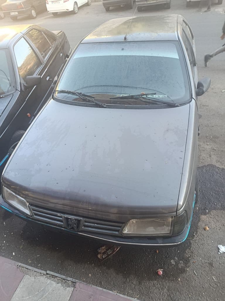 پژو روا دوگانه کارخانه 1386 - Image 1