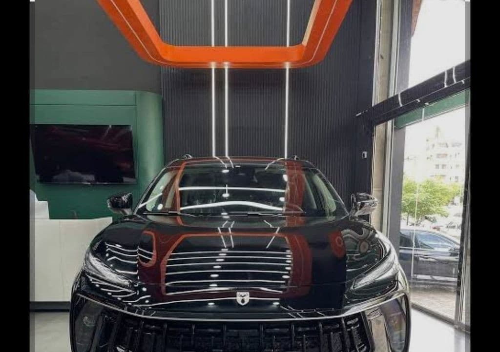 لاماری خشک - Image 1