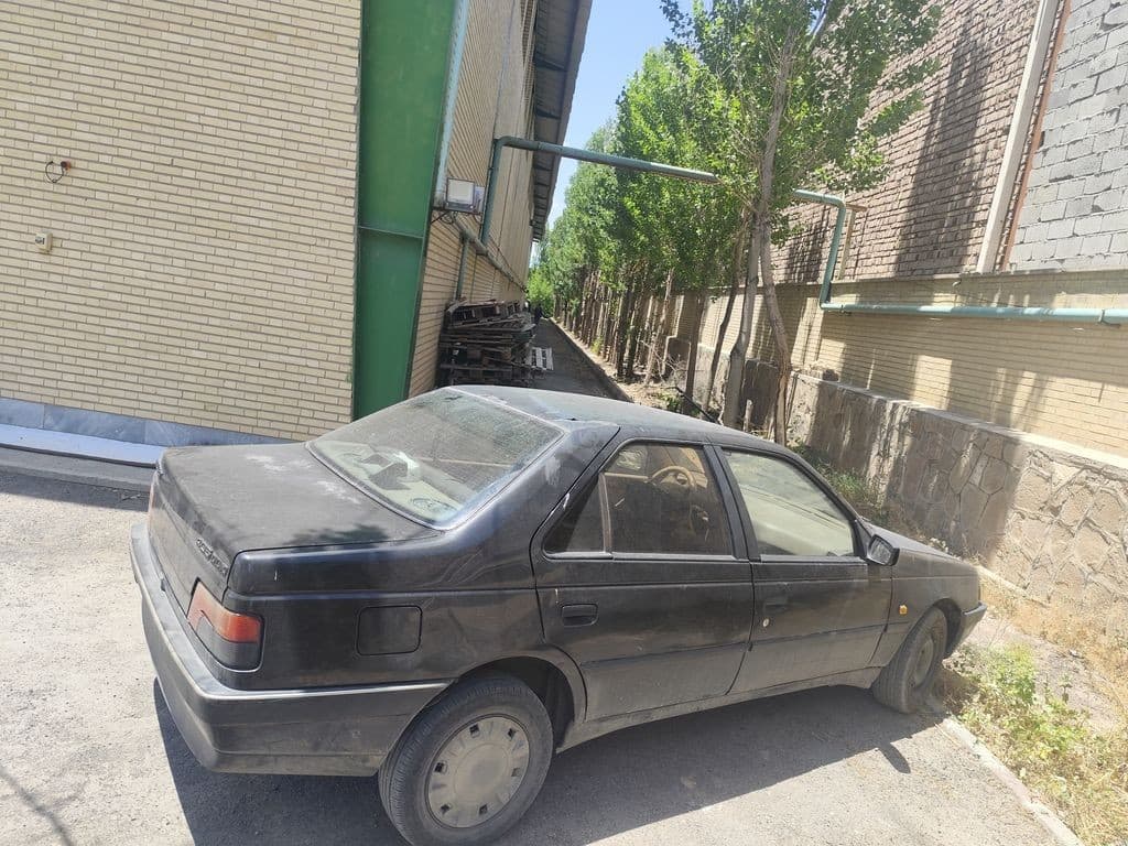 پژو 405 دوگانه کارخانه - Image 1