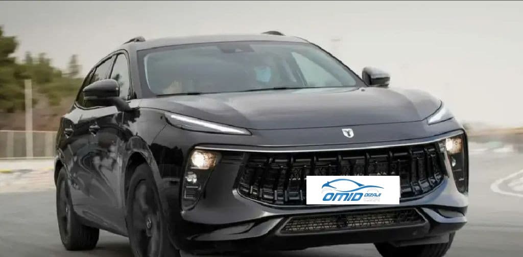 لاماری ایما صفر خشک - Image 1