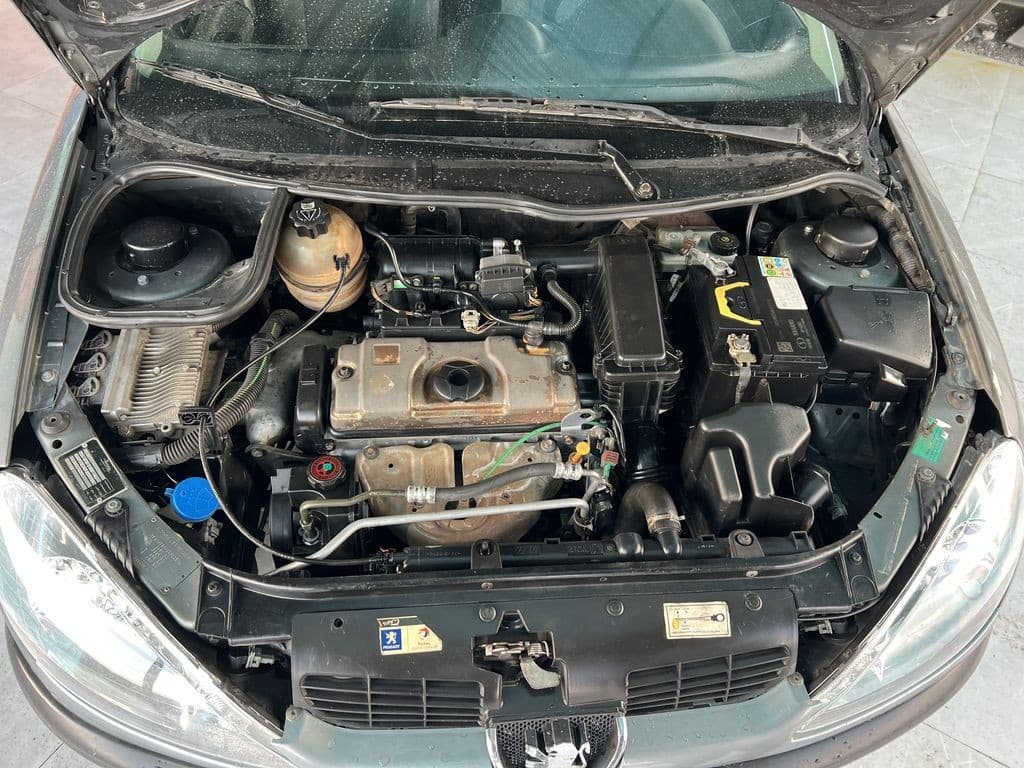 Thumbnail 7