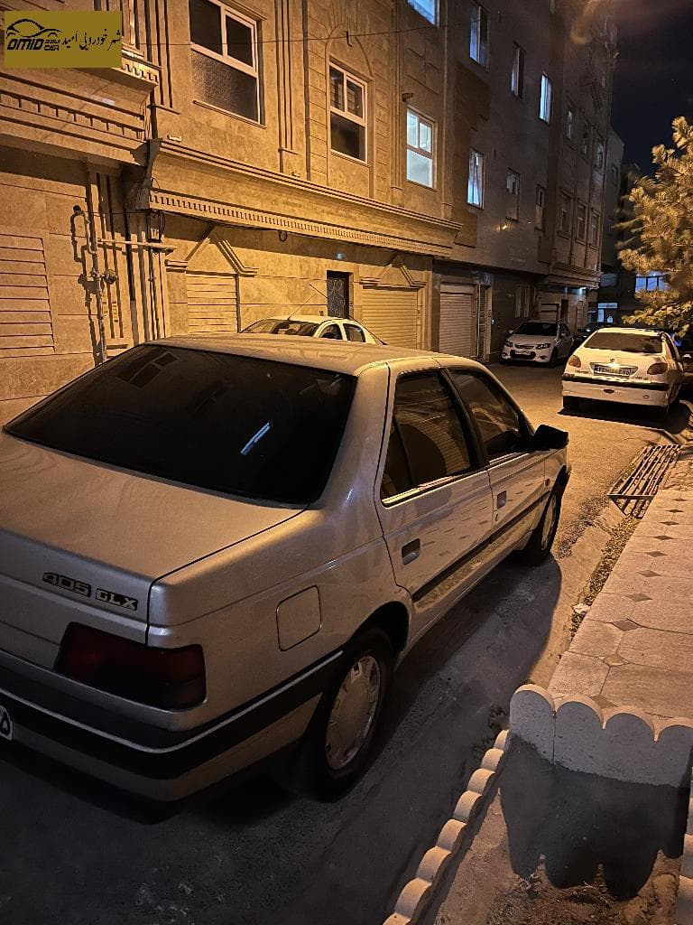پژو ۴۰۵مدل ۹۳نقره ای دوگانه کارخانه - Image 1