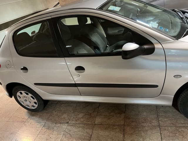 پژو ۲۰۶ تیپ ۶