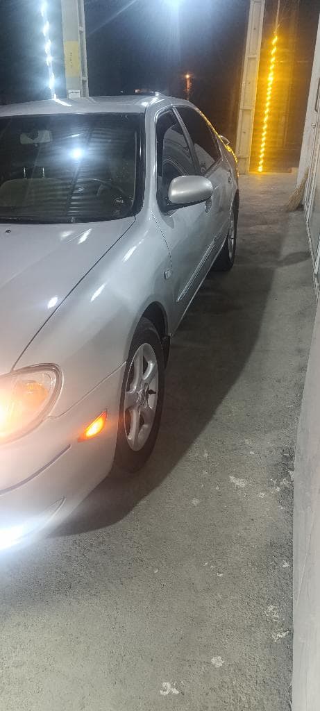 ماکسیما 83دوره رنگ بدون خط خش - Image 1