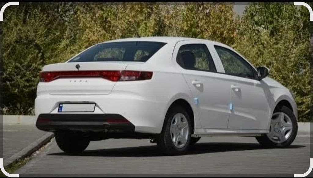 تاراv1p صفرخشک - Image 1